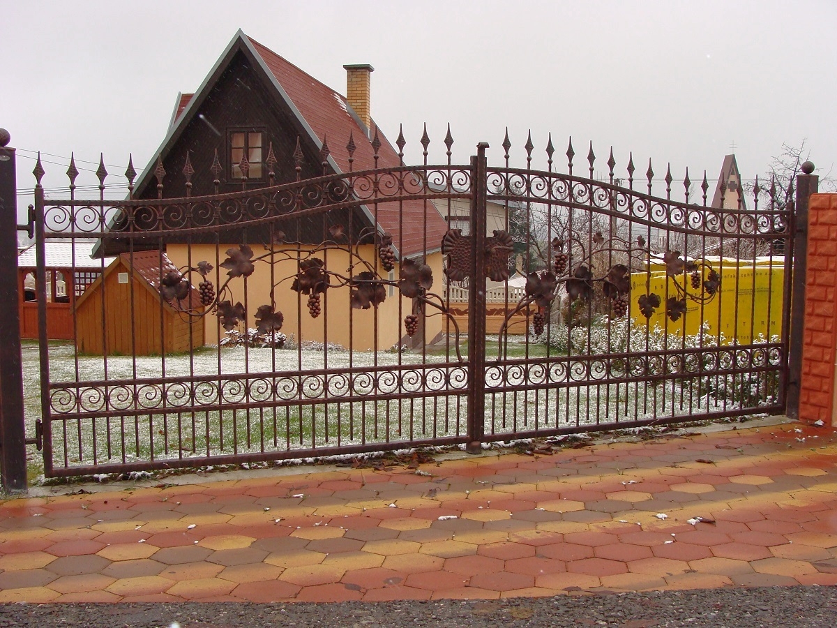 Kovaná brána, bránka a plot s vetvami viniča