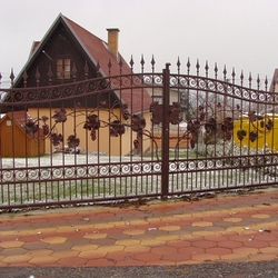 Kovaná brána, bránka a plot s vetvami viniča