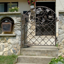 Kvalitná kovaná bránka s bránou s prírodným motívom viniča
